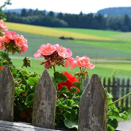 Obertennersreuth Alloggio per agriturismo