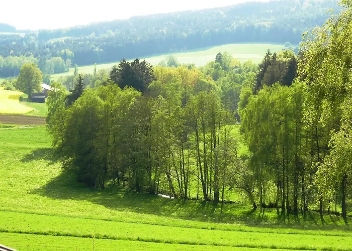 Obertennersreuth * Stammbach